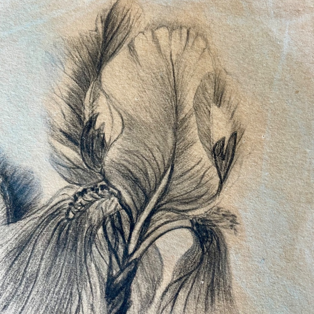 Very Old Original Drawing - Picture 3 of 6